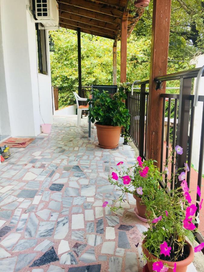Avra Apartments テルマ エクステリア 写真