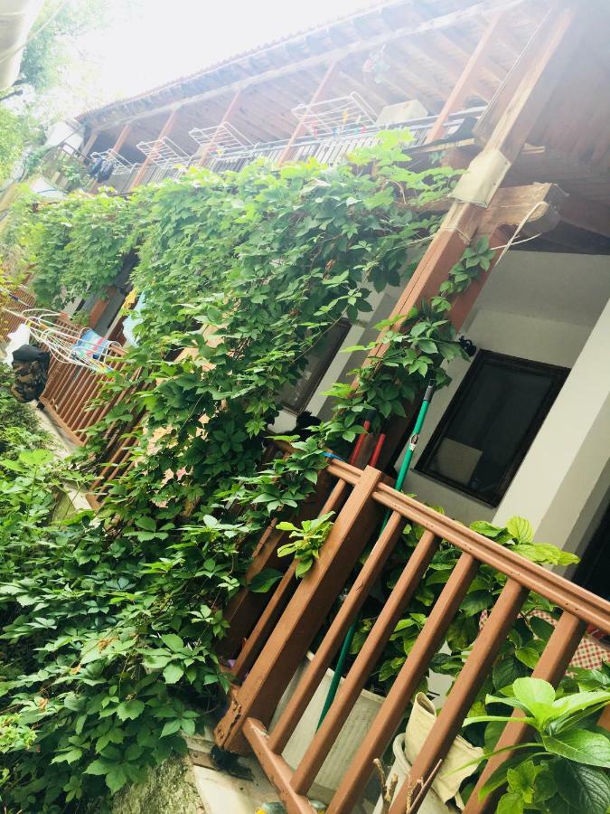 Avra Apartments テルマ エクステリア 写真